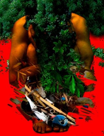 karim-borjas-catalogo