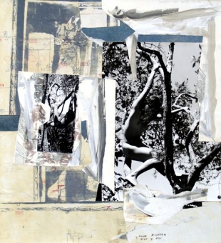 Hipótesis de Doble Sentido