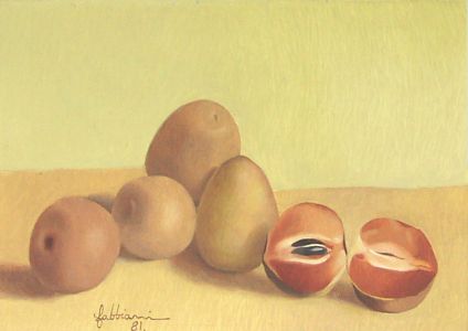 Juan Vicente Fabbiani "Nísperos"