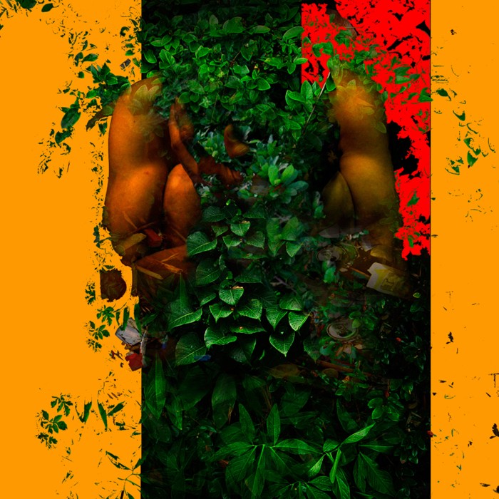 Serie Chromatique –Nature d'été – 14